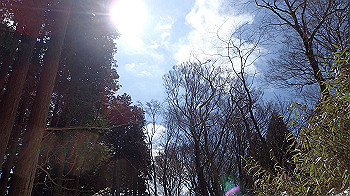 p2250459_thumb.jpg