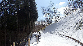 p2250462_thumb.jpg