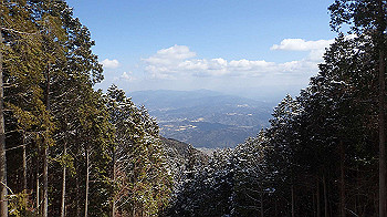 p2250464_thumb.jpg