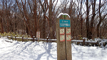 p2250467_thumb.jpg