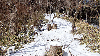 p2250468_thumb.jpg