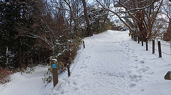 p2250475_thumb.jpg