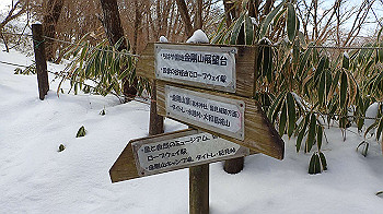 p2250476_thumb.jpg