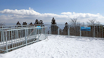 p2250479_thumb.jpg