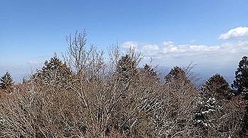 p2250483_thumb.jpg