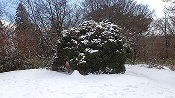 p2250499_thumb.jpg