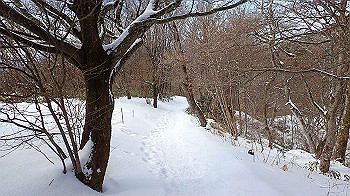 p2250501_thumb.jpg