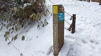 p2250502_thumb.jpg