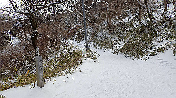 p2250504_thumb.jpg