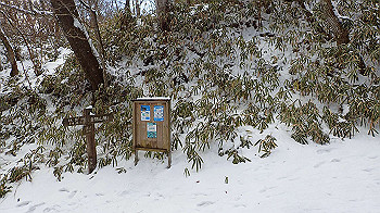 p2250505_thumb.jpg