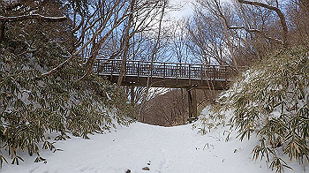 p2250506_thumb.jpg