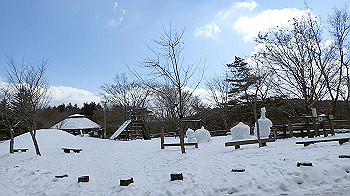 p2250508_thumb.jpg