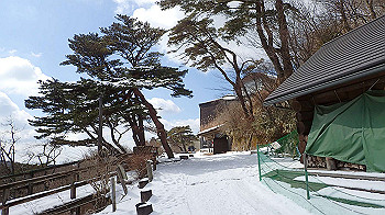 p2250511_thumb.jpg