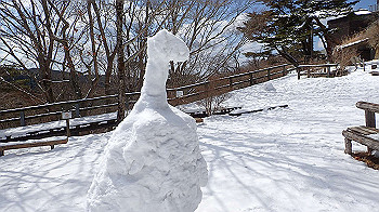 p2250515_thumb.jpg