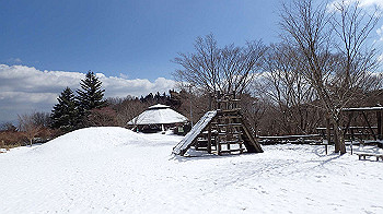 p2250517_thumb.jpg