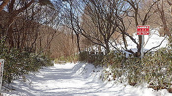 p2250534_thumb.jpg