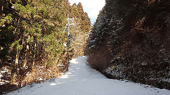 p2250537_thumb.jpg