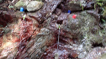 p2250550_thumb.jpg