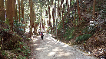 p2250555_thumb.jpg