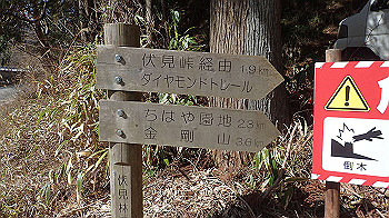 p2250560_thumb.jpg