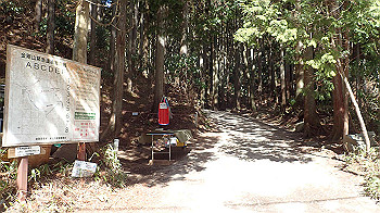 p2250562_thumb.jpg