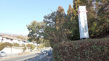 p2250582_thumb.jpg