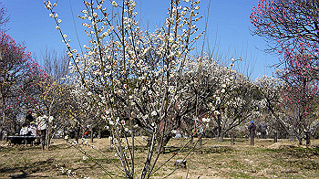 dsc02687_thumb.jpg