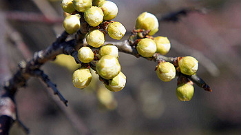 dsc02691_thumb.jpg
