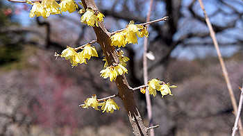 dsc02692_thumb.jpg
