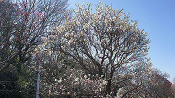 dsc02693_thumb.jpg
