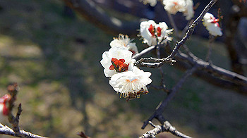 dsc02694_thumb.jpg