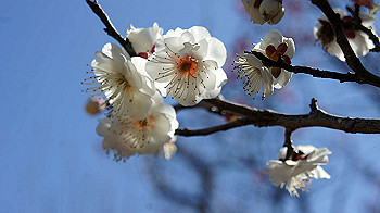 dsc02696_thumb.jpg