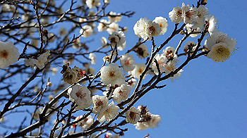 dsc02697_thumb.jpg