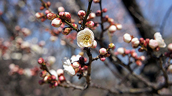 dsc02698_thumb.jpg