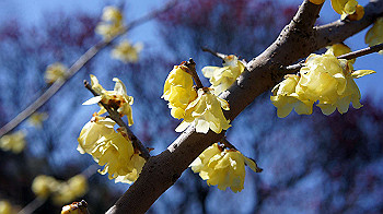 dsc02699_thumb.jpg