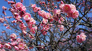 dsc02705_thumb.jpg