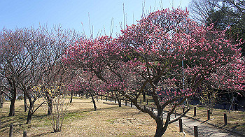 dsc02706_thumb.jpg