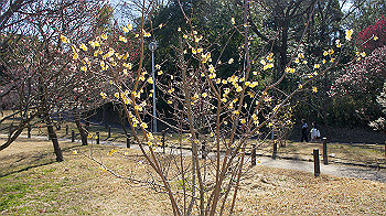 dsc02707_thumb.jpg