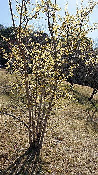 dsc02709_thumb.jpg