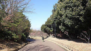 p2280587_thumb.jpg
