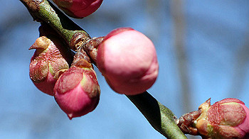 p2280589_thumb.jpg