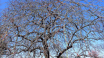 p2280590_thumb.jpg