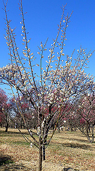 p2280594_thumb.jpg