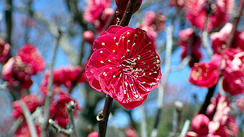 p2280600_thumb.jpg