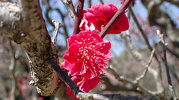 p2280601_thumb.jpg