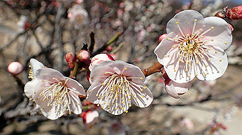 p2280607_thumb.jpg