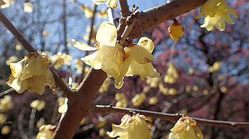 p2280610_thumb.jpg