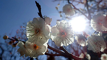 p2280619_thumb.jpg