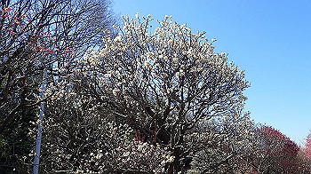 p2280620_thumb.jpg