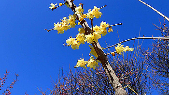 p2280622_thumb.jpg